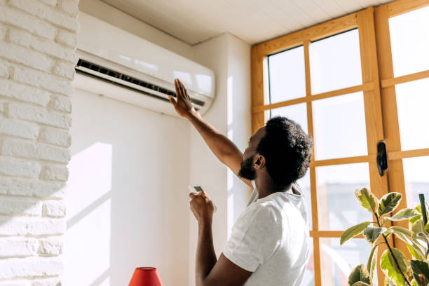 Best HVAC Air Duct Cleaning  in Mount Prospect, IL